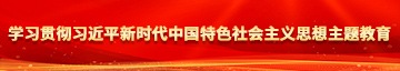 骚女人的逼被人操的逼被人操的逼被学习贯彻习近平新时代中国特色社会主义思想主题教育